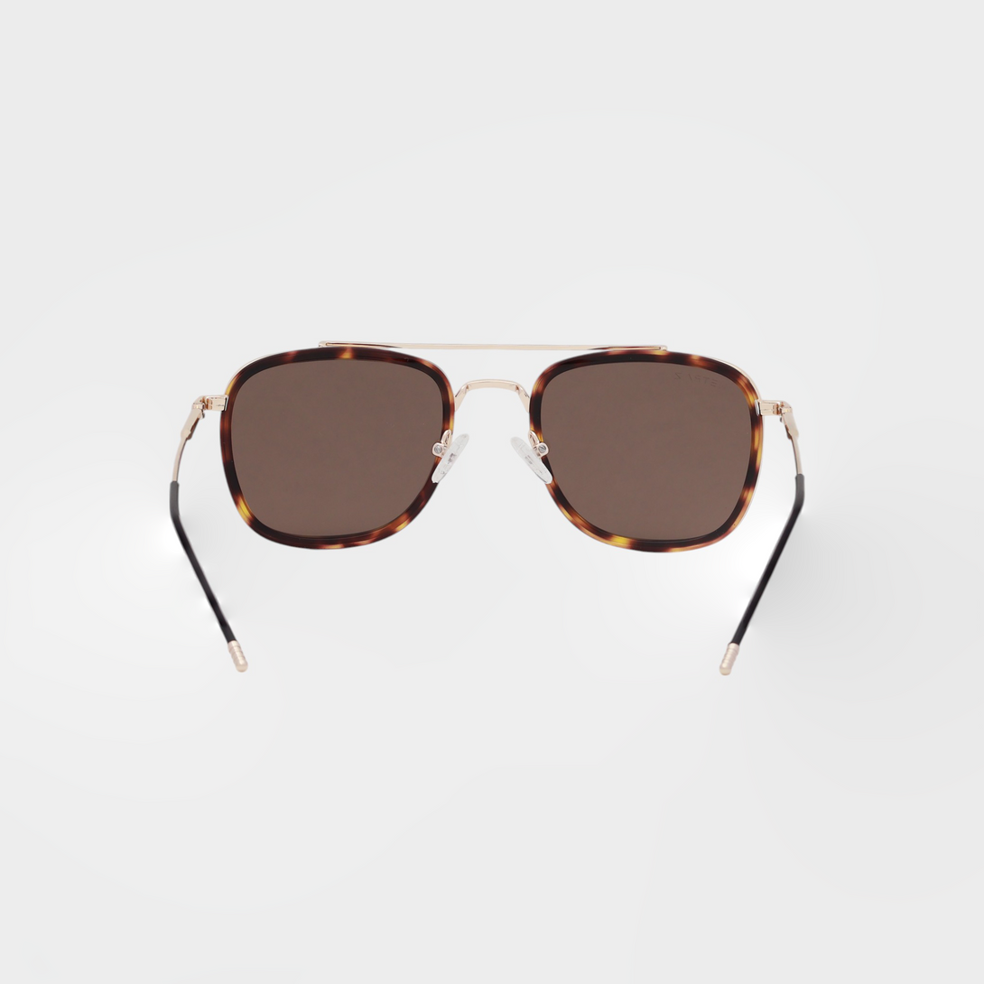 NETRAZ NZ3049 Square Aviator Sunglasses With Gold And Tortoiseshell Frame And Brown Lens Back View